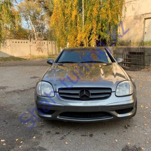 Комплект обвеса Mercedes-Benz R170 AMG (Coupe)