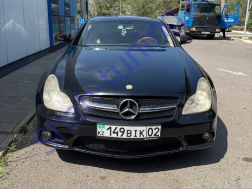 Комплект обвеса Mercedes-Benz W219 AMG (банан)