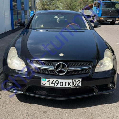 Комплект обвеса Mercedes-Benz W219 AMG (банан)
